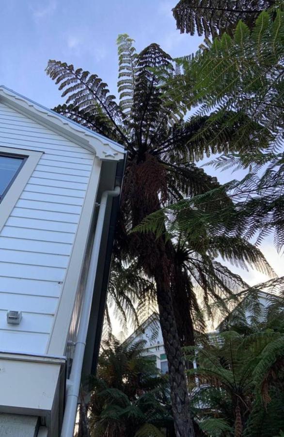 Tiny House In The Sky 호텔 더니든 외부 사진